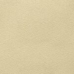 Crema Fabric Color