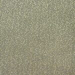 Parids Fabric Color